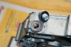 SONY DSC
